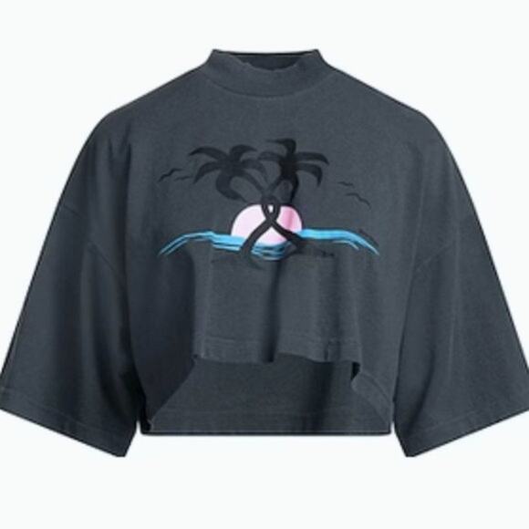 Palm Angels cropped dark gray T shirt L - Picture 2 of 12